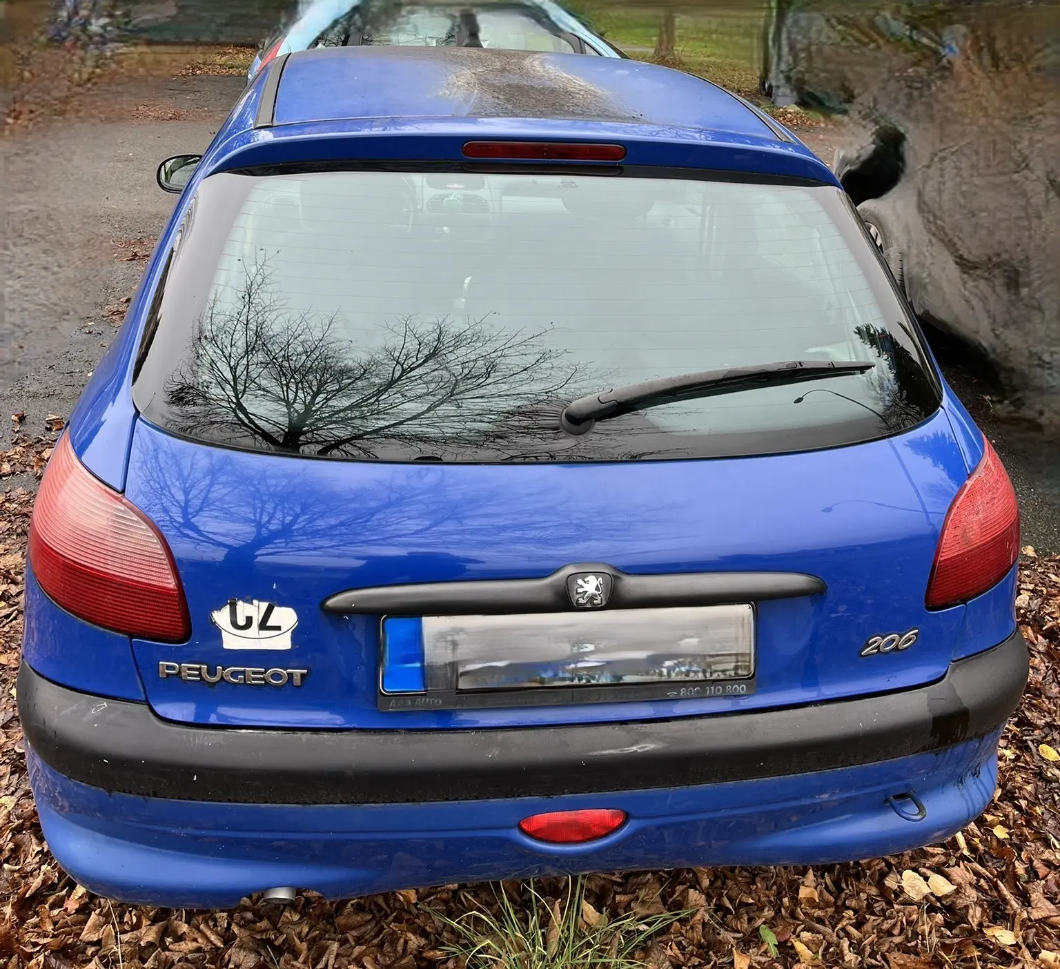 Peugeot 206 Peugeot  6