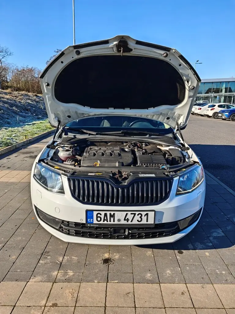 Škoda Octavia 2.0 TDI, 135kW 4x4 DSG L&K NEZÁV.TOPENÍ 4
