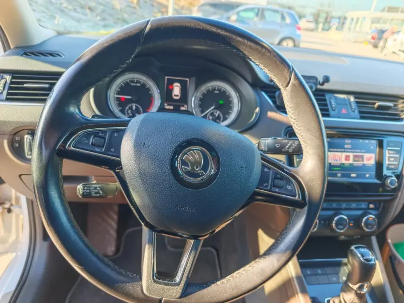 Škoda Octavia 2.0 TDI, 135kW 4x4 DSG L&K NEZÁV.TOPENÍ 8